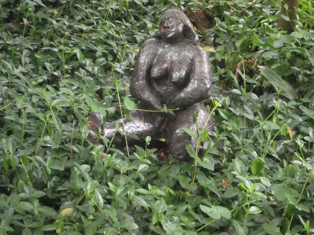 B&B Beatrix Beilen Exteriér fotografie